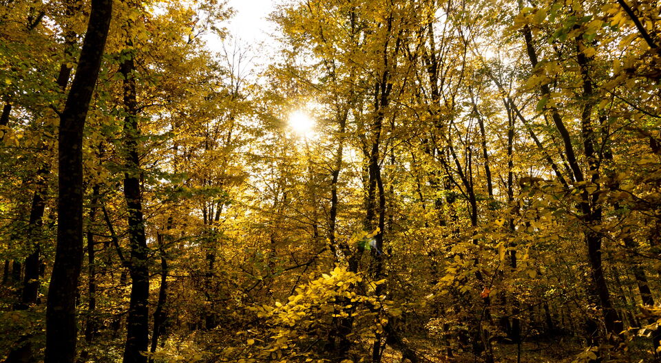 Neugründung Selbsthilfegruppe Epilepsie