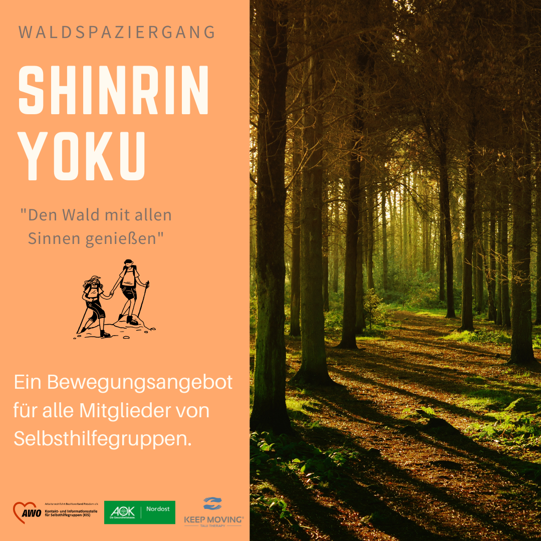 Das Bild zeigt einen Wald mit der Aufschrift Shinrin Yoku. Den Wald mit allen Sinnen genießen